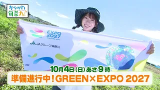 かながわ旬菜ナビ　次回予告（10月4日放送）