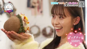 たからモノさがして　第５６９回