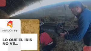 Lo que el iris no ve... ?️?