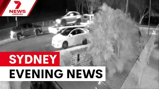 Boxing coach shot dead in Punchbowl ambush; Hanson cartoon controversy; drug-driver jailed | 7NEWS