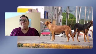 OWNER OF PIT BULL THAT ATTACKED VICTIM TO REMAIN IN CUSTODY