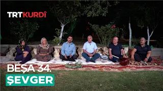 Şevger - Beşa 34.