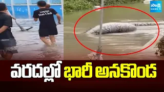 వరదల్లో భారీ అనకొండ | Huge Floods In Bangkok | Viral Video In Social Media | Sakshi TV