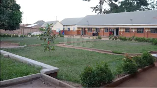 Child Dies at Luweero School as Education Ministry Orders Immediate Closure