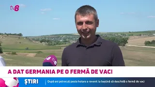 A lăsat Germania pentru o fermă de vaci: s-a întors acasă să-și deschidă propria fermă
