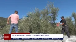 ΣΥΓΚΟΜΙΔΗ ΤΗΣ ΕΛΙΑΣ ΣΤΑ ΙΜΕΡΑ ΚΟΖΑΝΗΣ