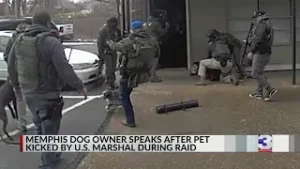 Who's to blame, after dog was injured during raid