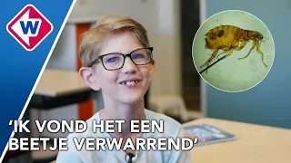 Vlooienplaag houdt school bezig: deuren blijven voorlopig nog gesloten