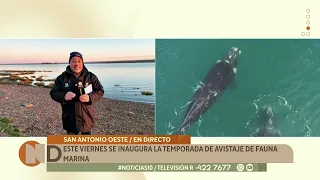 Marine wildlife viewing season kicks off this Friday