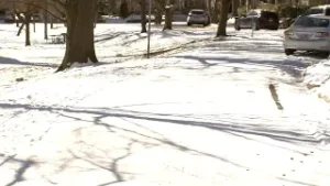 Raleigh roads improve slowly as residents embrace snowy day adventures