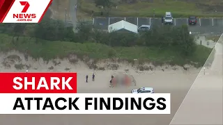 Coroner finds Queensland teen died instantly in shark attack | 7NEWS