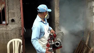 Authorities urge elimination of mosquito breeding sites to prevent dengue