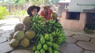 Camagüey farm shows excellent results in livestock farming.