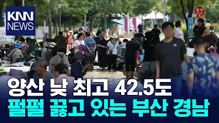 Record-Breaking 42.5°C Heatwave, Busan and Gyeongnam Swelter / KNN