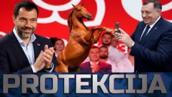 DODIK KAŽE ZA KONJA: Konjina pobjedi na izborima?! SNSD plaća 200E glas u dijaspori?! || PROTEKCIJA