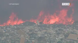Почему две недели свалка не тухнет