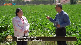 Agriculture Academy Episode 12 September 23, 2026 Sugar Beet Farming