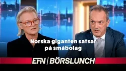 Ekonomens AI-varning: ”Kraschar till slut – som det brukar”