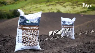 Nitrovital: Technology that nourishes the soil - TvAgro by Juan Gonzalo Angel