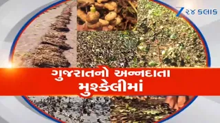Gujaratના ખેડૂતો પર કુદરતનો માર! વરસાદ ખેંચાતા પાક સુકાવા લાગ્યો, તાત્કાલિક સહાયની કરી માંગ