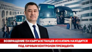 134 кыргызстанца с круизного лайнера в Катаре возвращаются на родину
