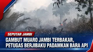 MUARO JAMBI PEATLAND ON FIRE, CREWS STRUGGLE TO EXTINGUISH SUBSURFACE EMBERS