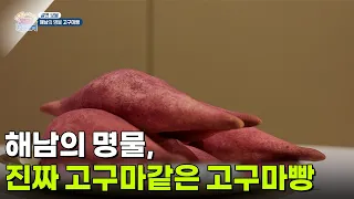 [알면 보물] 해남의 명물, 진짜 고구마같은 고구마빵 [생방송 굿모닝 대한민국] | KBS 260710 방송