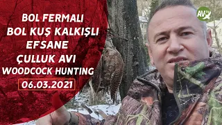 WOODCOCK HUNTING AV ZAMANI ŞİLE'DE KARLAR ÜSTÜNDE BOL KUŞ KALKMALI HARİKA ÇULLUK AVI
