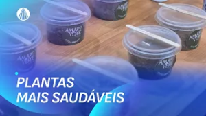 Solo Vivo A Importância do Adubo Orgânico no Seu Jardim | Viva a Tarde