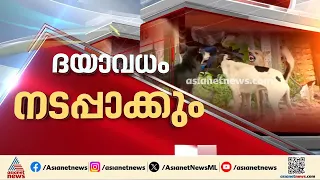 തെരുവുനായ വിമുക്തമായ ​ഗ്രാമങ്ങൾ ഉണ്ടാക്കുക ലക്ഷ്യം: അനിൽ അക്കര |Street Dog