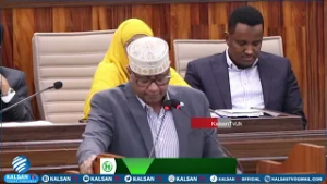 Xildhibaanada Barlamaanka oo bilaabay ka doodista afar cutub oo horleh ee dib u eegista Dastuurka.