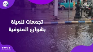 رفع حالة الطوارئ..امطار تسقط على المنوفية وتجمعات للمياة بالشوارع