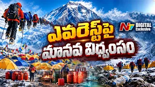 Mount Everest's Glacier Is Melting Faster, Human Urine Is Being Blamed | NTV Digital Exclusive