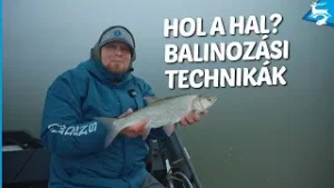 Hol a Hal? –  Balinozási technikák ősszel a Tisza-tavon