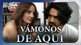 Mael convinces Maya to leave Pancho | The Rebirth of Luna 3/4 | Chapter 27