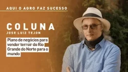 Here, Agriculture Succeeds: a business plan to sell the terroir of Rio Grande do Norte to the world.