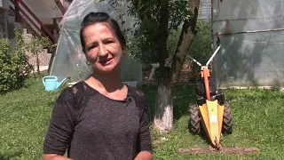 Vijesti 29 06 2026