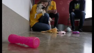 Happily Ever After hopes to find forever homes for every pet