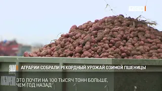 Farmers harvest record-breaking winter wheat crop