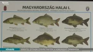 Ezentúl otthon is kiválthatók a horgászati okmányok - 2026.02.03.
