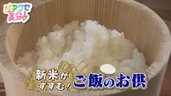 [Pure Bliss!] Perfect Pairings for New Rice! Broadcast on 10/10/2026