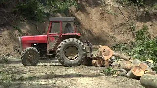 Posao šumara Odgovornost prema budućim generacijama R