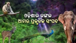 ବନ ଦର୍ଶନ | Bana Darshan | ଓଡ଼ିଶାର ଜଙ୍ଗଲ ଆମର ପ୍ରାକୃତିକ ସମ୍ପଦ | Odisha Forests & Wildlife Special