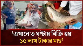 Authentic Padma River Pangas, $1,260 per kg | Mytv