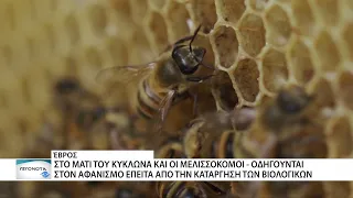 Μονόδρομος οι κινητοποιήσεις για τον πρωτογενή τομέα - "Στα κάγκελα" και οι μελισσοκόμοι