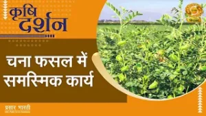 Krishi Darshan | कृषि दर्शन | चना फसल में समस्मिक कार्य | DD Kisan | February 04, 2026