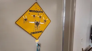 Mosquito numbers are down, but officials are watching one species closely