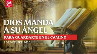 The Power of Your Guardian Angel and the Fatima Apparitions | How Does Your Guardian Angel Act?