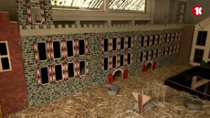 Crowdfundingactie voor kat Tinus met diabetes in Valkenswaard succesvol