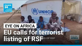 European Parliament calls for terrorist listing of Rapid Support Forces in Sudan • FRANCE 24